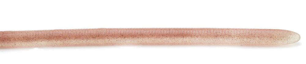 Image de Raid Japan Adjustraight 12"