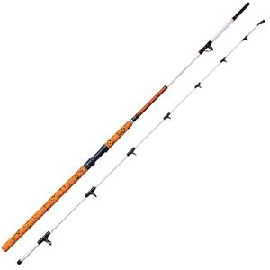 Image de Carson Cat Stige II