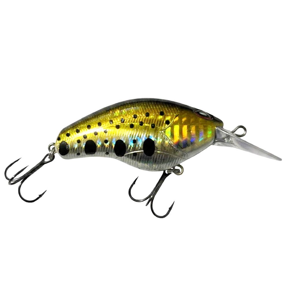 Imagen de Carson Tamura Cranky Fat 