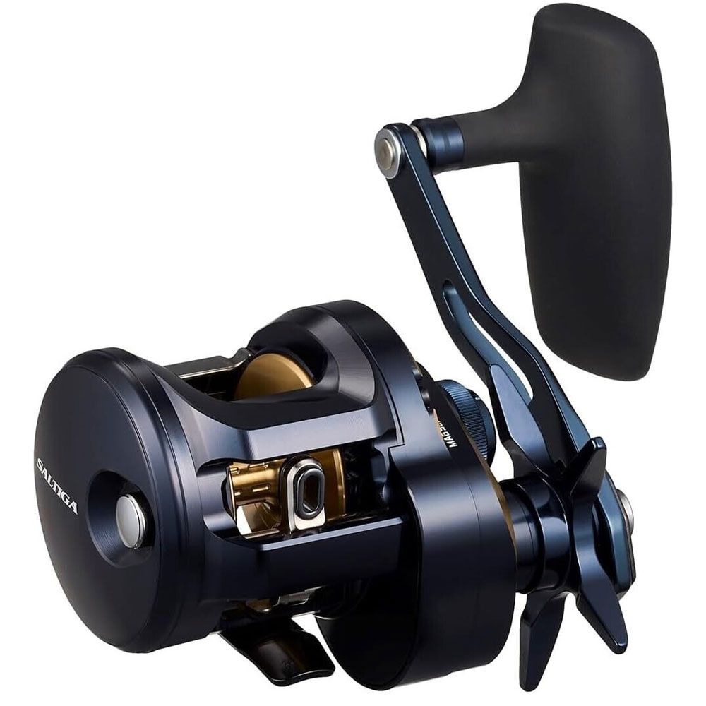Imagen de Daiwa 25 Saltiga 300