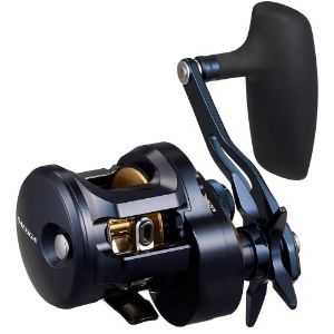 Immagine di Daiwa 25 Saltiga 300