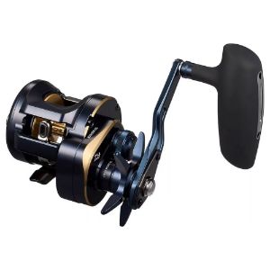 Imagen de Daiwa 25 Saltiga 300