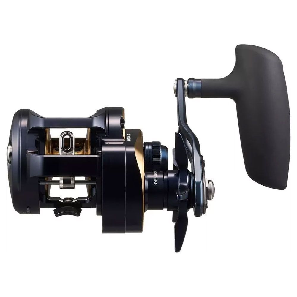 Imagen de Daiwa 25 Saltiga 300