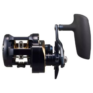Imagen de Daiwa 25 Saltiga 300