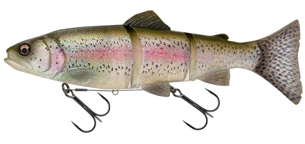 Bild von Savage Gear 3D Line Thru Trout