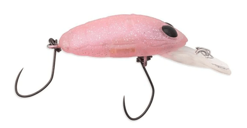 Immagine di Nories Crankin' Pupa