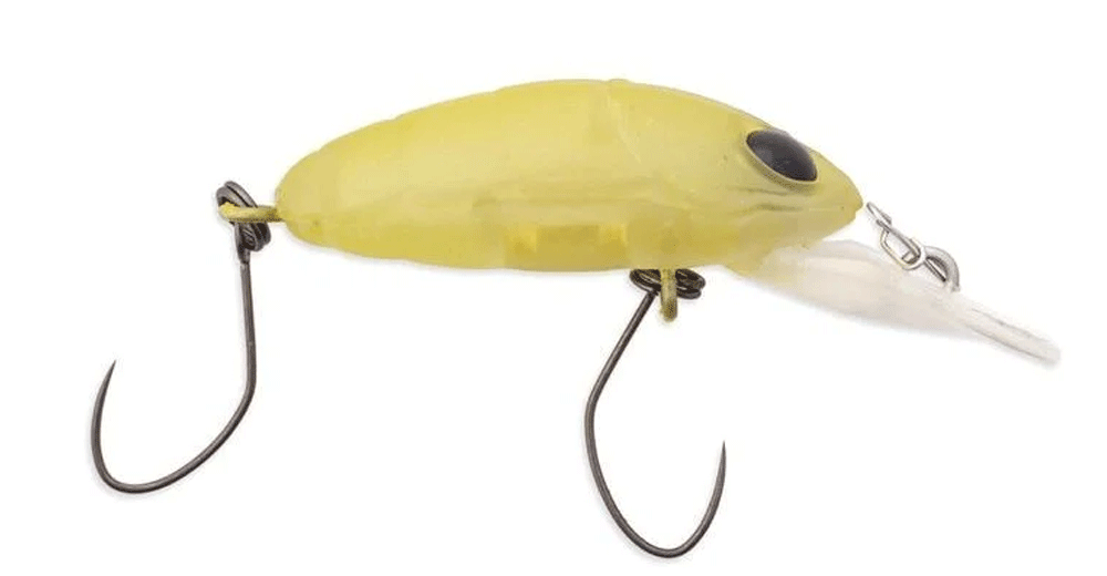 Immagine di Nories Crankin' Pupa