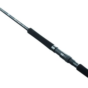 Immagine di Daiwa Outrage XV Spinning