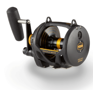 Imagen de Penn Squall 30 VSW 2 Speed