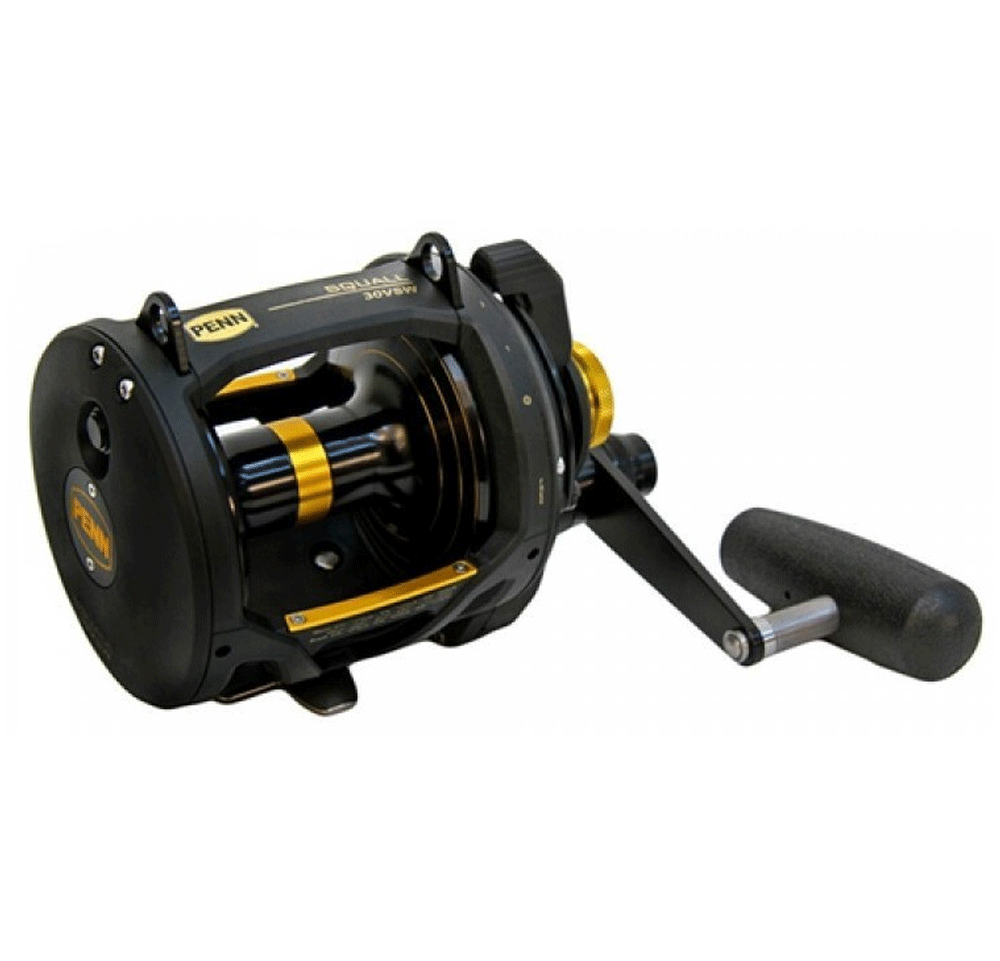 Imagen de Penn Squall 30 VSW 2 Speed