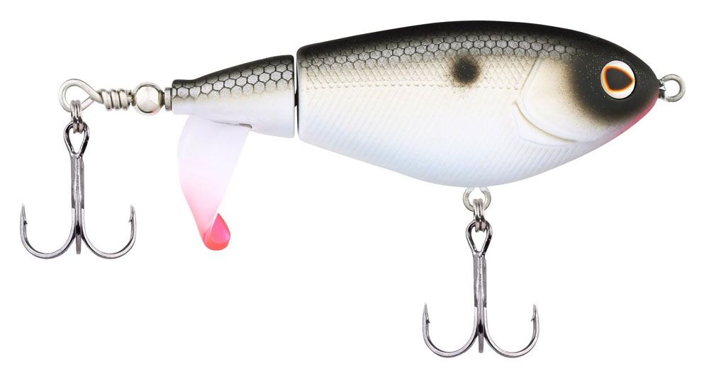 Bild von Berkley Choppo