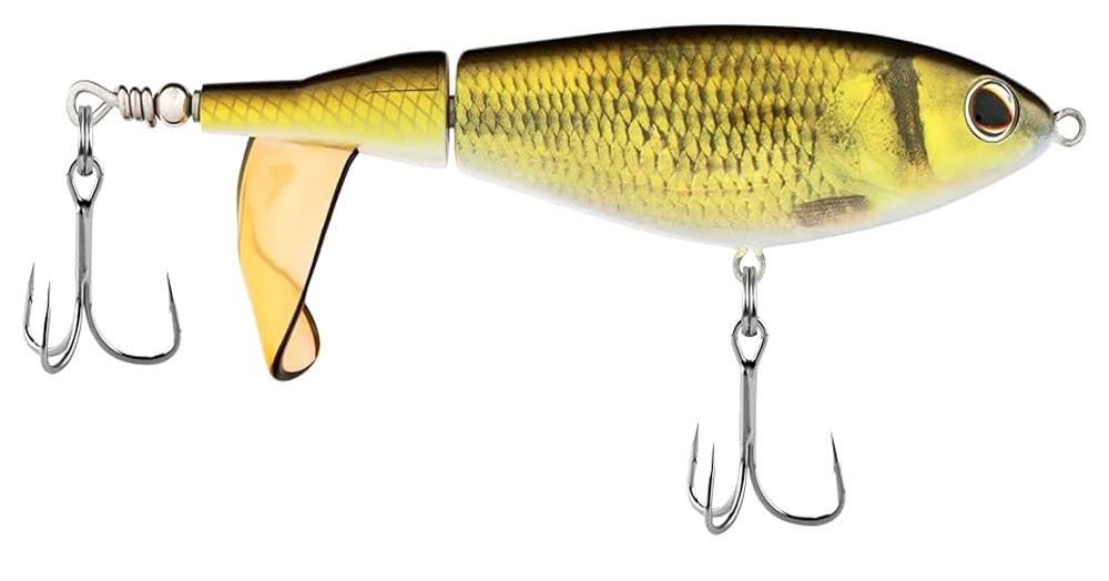 Bild von Berkley Choppo