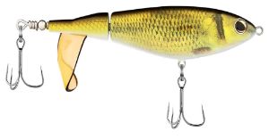 Bild von Berkley Choppo