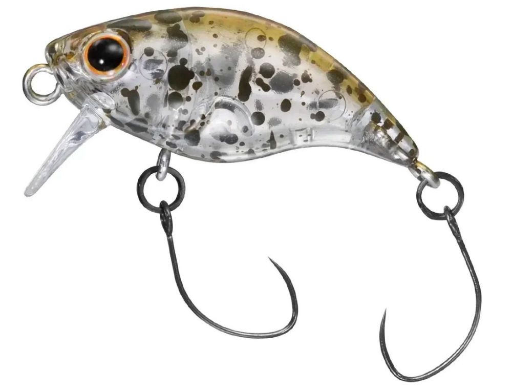 Image de Daiwa Presso Rattlin' Wake Bug