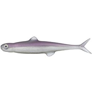 Picture of Evergreen Last Ace 75