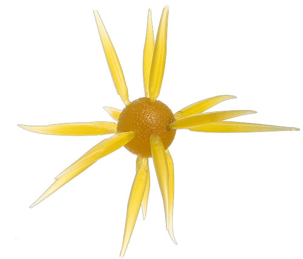 Immagine di Hideup Coike Fish L Elastomer