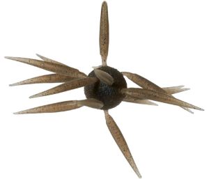 Immagine di Hideup Coike Fish L Elastomer