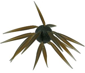 Immagine di Hideup Coike Fish L Elastomer