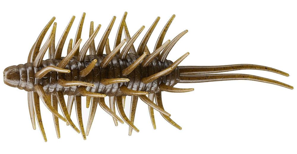 Picture of Hideup Coike Shrimp Magnum