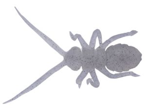 Picture of O.s.p. Orikanemushi II