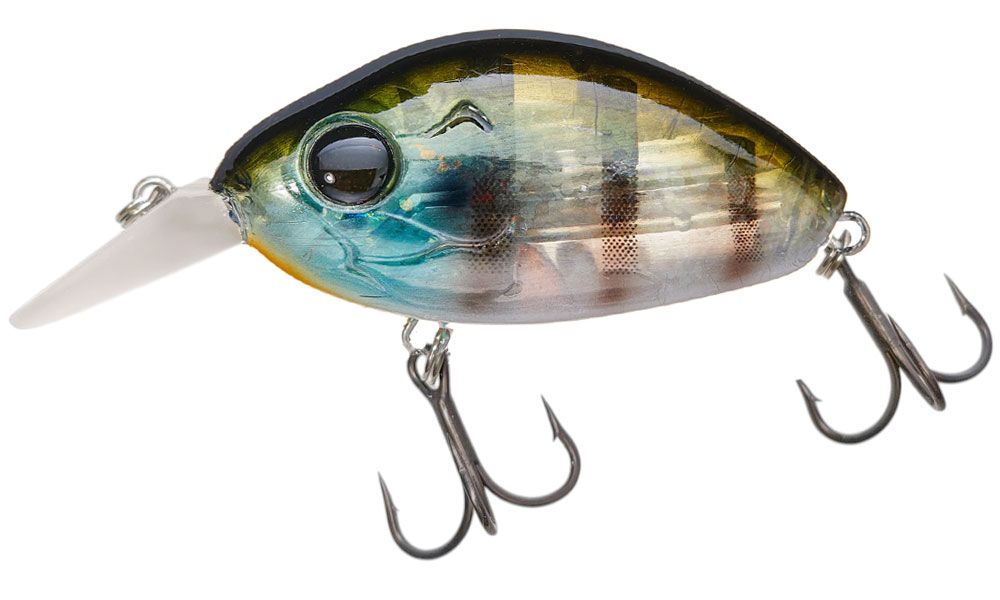 Picture of Damiki DC-100 