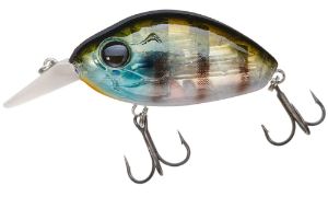 Picture of Damiki DC-100 