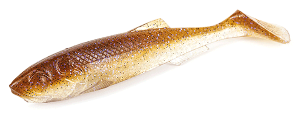 Immagine di Molix RT Paddle Flex