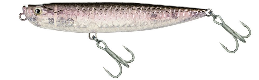 Bild von Molix WTD 120T Walking The Dog Tarpon