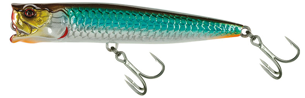 Bild von Molix Popper