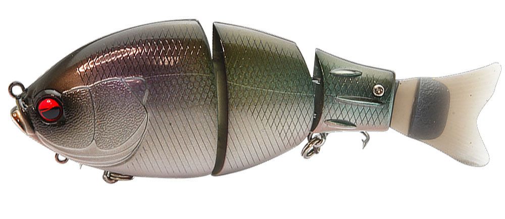 Immagine di Raid Japan G-Dash