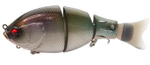 Immagine di Raid Japan G-Dash