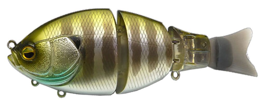 Immagine di Raid Japan G-Dash