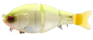 Immagine di Raid Japan G-Dash