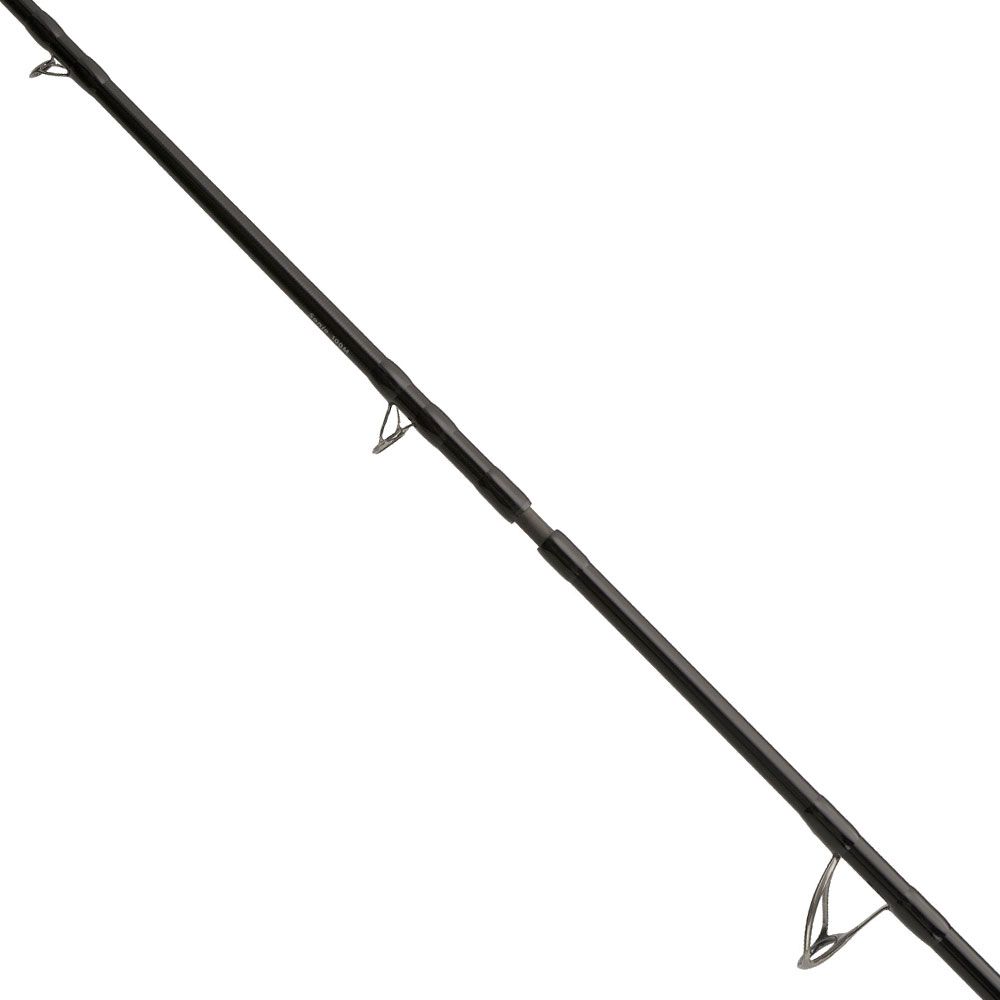 Immagine di ZenaQ Sonio Type R