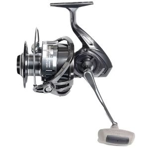 Immagine di Carson Bull Stige