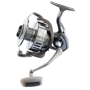 Immagine di Carson Bull Stige