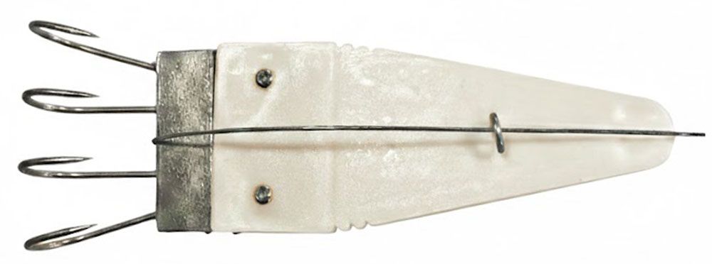 Immagine di Olympus Polpara