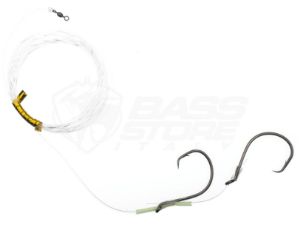 Immagine di Olympus Terminale Traina