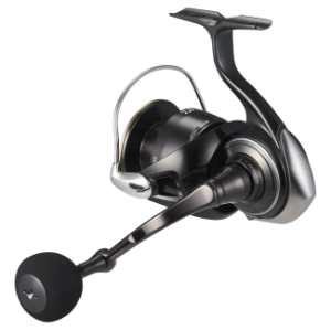Daiwa 26 Certate HD LT spinning Daiwa