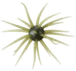 Hideup Coike Fullcast Watermelon Seed Hideup