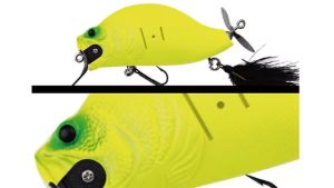 Adusta Zacrawl SC Crack Chart Adusta