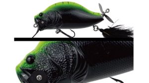 Adusta Zacrawl SC Green Flash Adusta