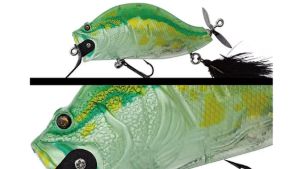 Adusta Zacrawl SC Glass Frog Adusta