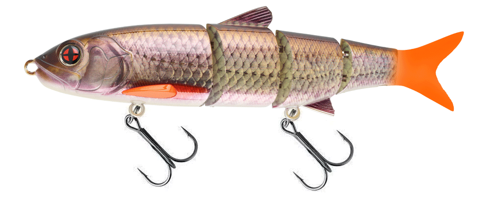 Sakura Roll Swimmer Real Life Gardon Sakura