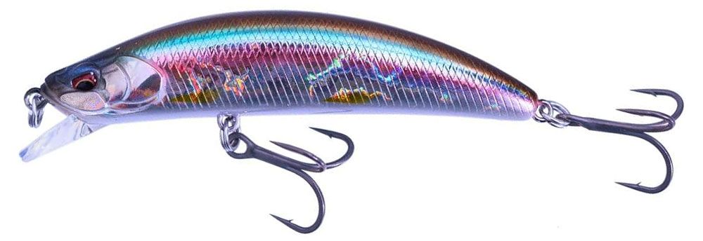 DUO Onimasu Kagura Wakasagi DUO