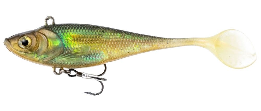 Olympus Shad AN Olympus