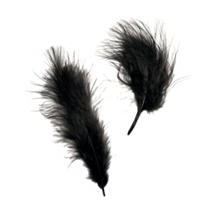 Olympus Piume di Marabù Nero Olympus