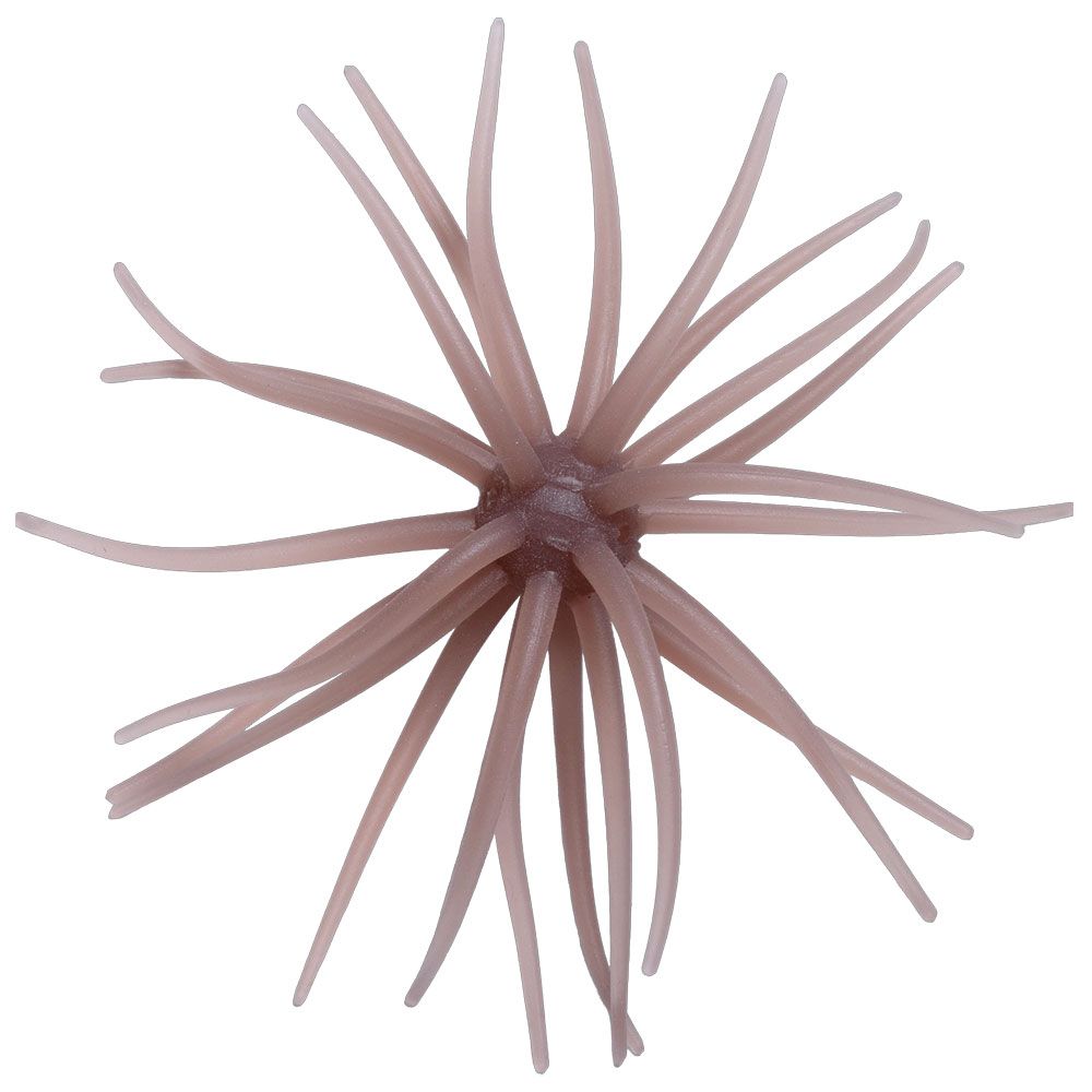 Hideup Kyu Coike Soft Material #257 Hideup