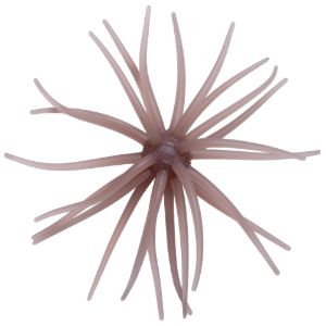 Hideup Kyu Coike Soft Material #257 Hideup