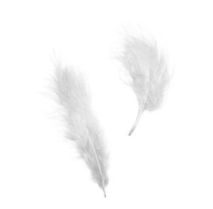 Olympus Plumas de Marabú Bianco Olympus